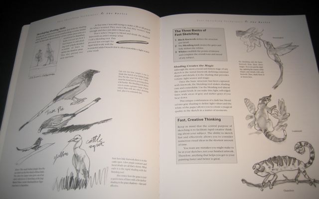 Fast Sketching Techniques  Art Books Reviewed