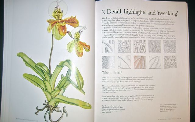 Botanical Illustration Course With the Eden Project Epub-Ebook